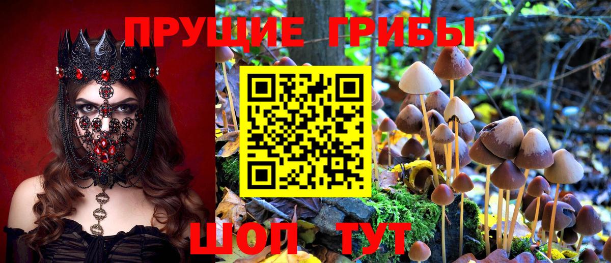 Псилоцибиновые грибы MAGIC MUSHROOMS  Вход с VPN  Волгодонск 